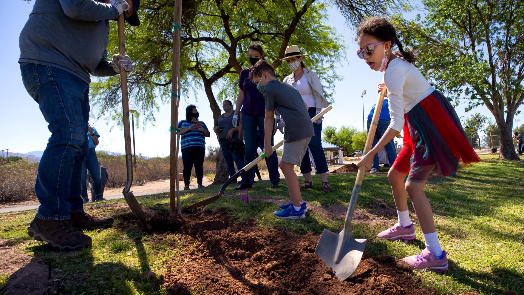 Lincoln Regional Park, trees